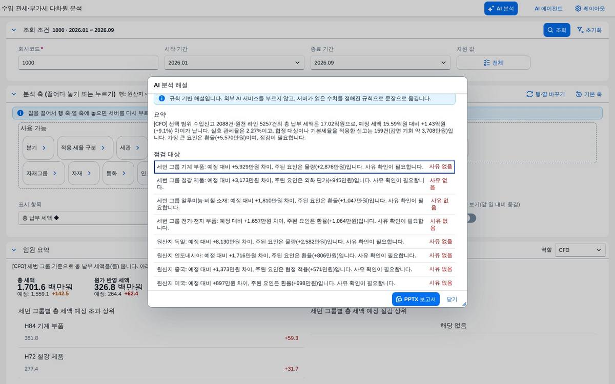 AI 분석 — 해설과 점검 대상